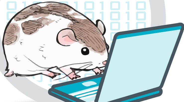 👋 About Shaun Harding – The Tech Hamster | The Tech Hamster